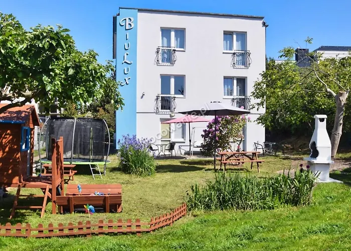 Biulux Проживание в семье