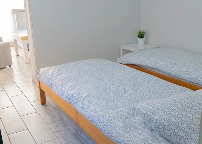 Проживание в семье Biulux *